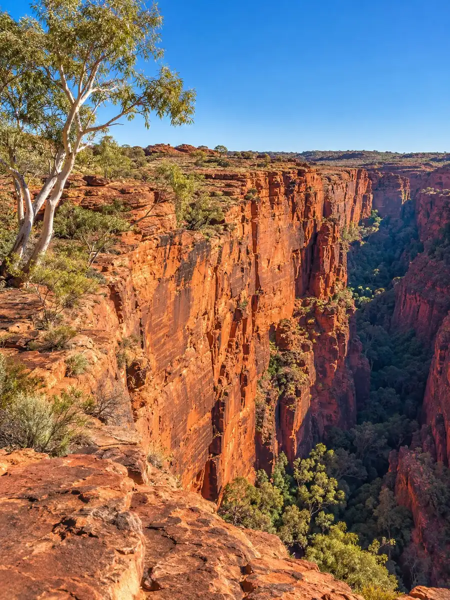 The sheer red sandstone walls of Kings Canyon seen from the rim under a deep blue sky